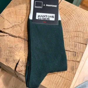 Chaussettes Homme Pantone 19-5406, MuseARTa