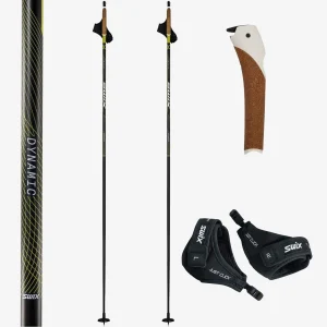 Swix - Dynamic D3 Just Click